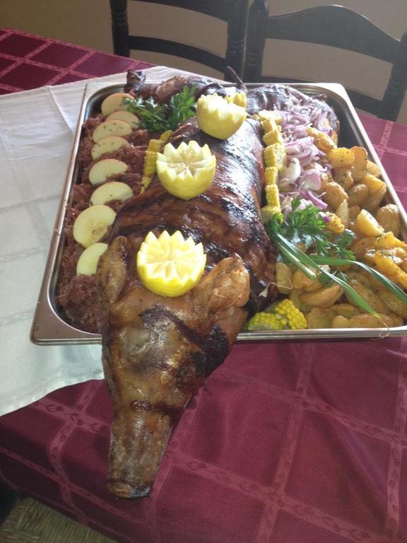 Venusz Panzio Es Vendeglo Bed & Breakfast Bagod Ngoại thất bức ảnh