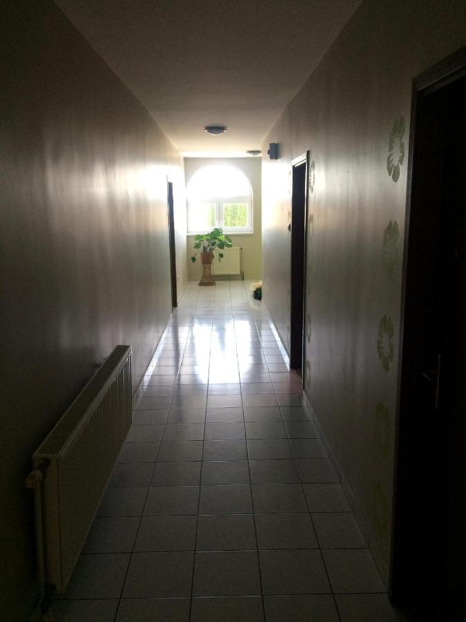 Venusz Panzio Es Vendeglo Bed & Breakfast Bagod Ngoại thất bức ảnh